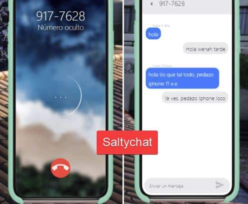 saltychat